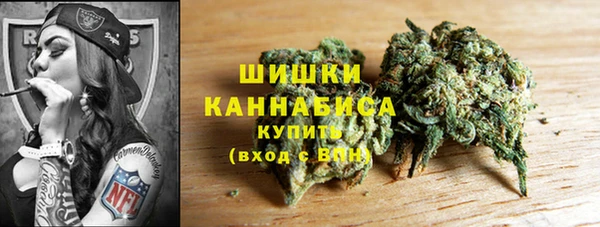 твердый Верхний Тагил